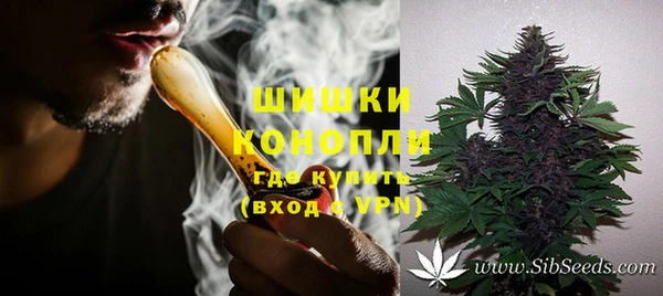 винт Белокуриха
