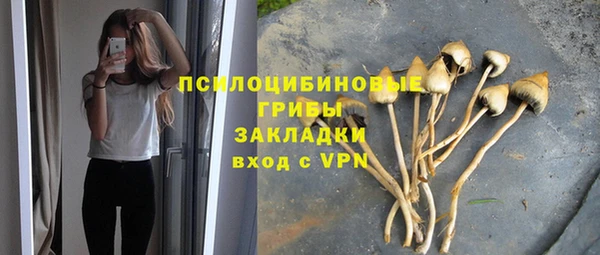 винт Белокуриха
