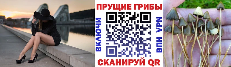 Псилоцибиновые грибы мухоморы  Карабулак 